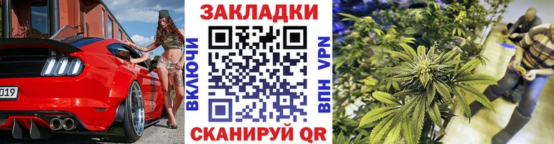 Виды наркоты Орск МЕГА зеркало  Амфетамин  APVP  МЕФ  Канабис  ГАШ 