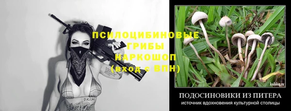 ECSTASY Краснослободск