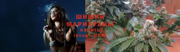 ECSTASY Краснослободск