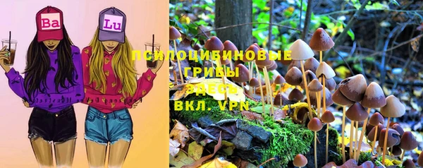 марки lsd Краснотурьинск