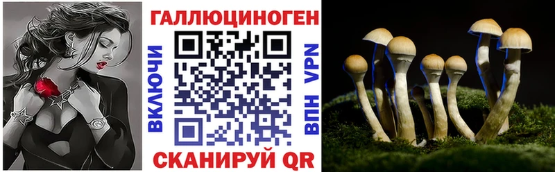 Псилоцибиновые грибы мухоморы  ОМГ ОМГ ONION  Орск 