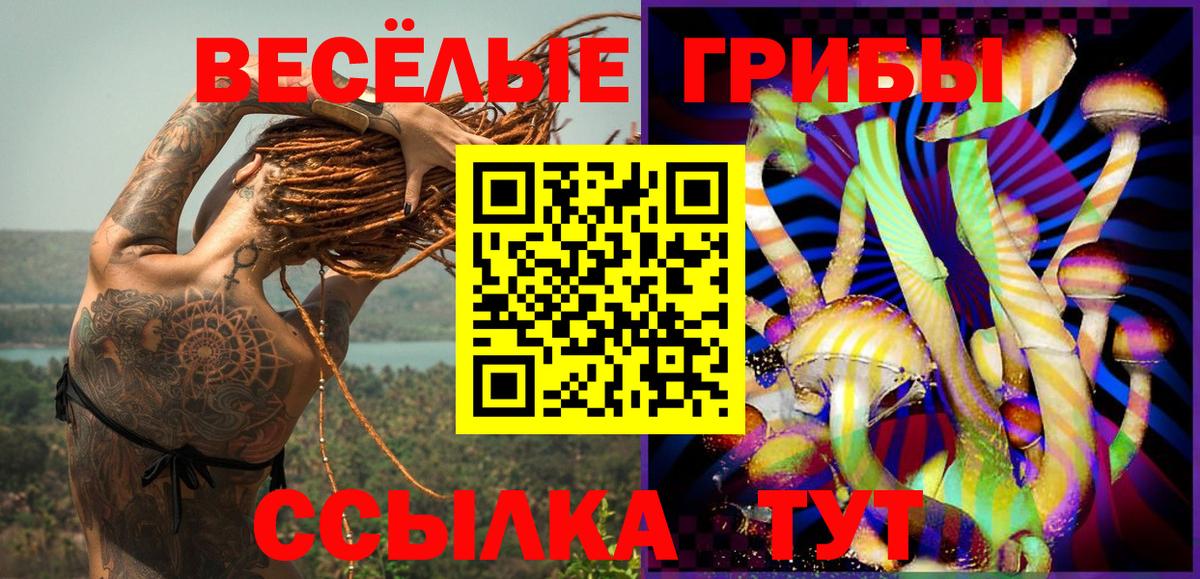 Псилоцибиновые грибы Magic Shrooms Орск