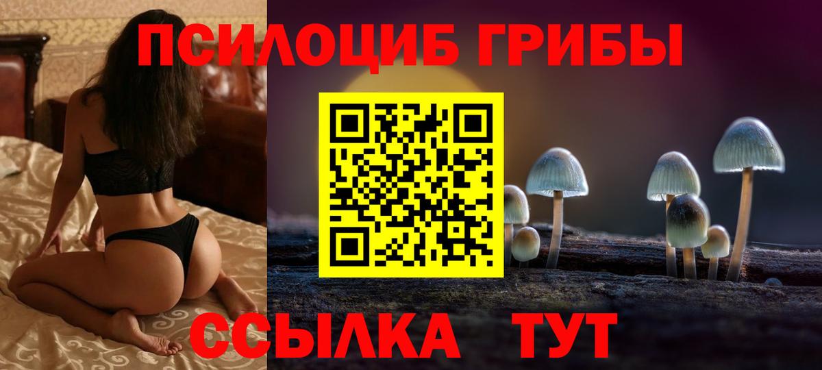 Галлюциногенные грибы Psilocybine cubensis  Галлюциногенные грибы мицелий  Орск  Вход с VPN 